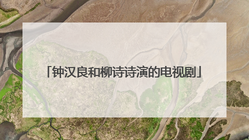 钟汉良和柳诗诗演的电视剧