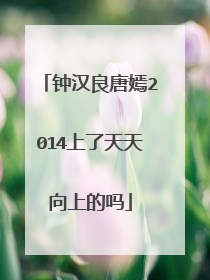 钟汉良唐嫣2014上了天天向上的吗