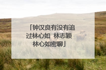 钟汉良有没有追过林心如 林志颖林心如密聊