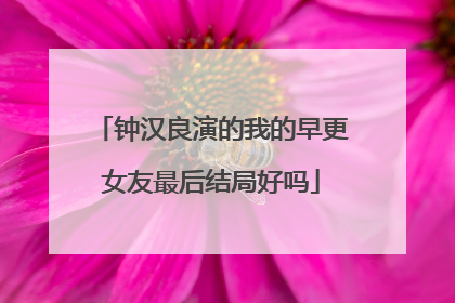 钟汉良演的我的早更女友最后结局好吗