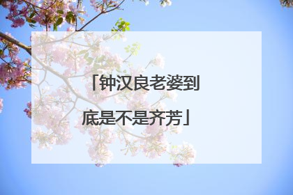 钟汉良老婆到底是不是齐芳