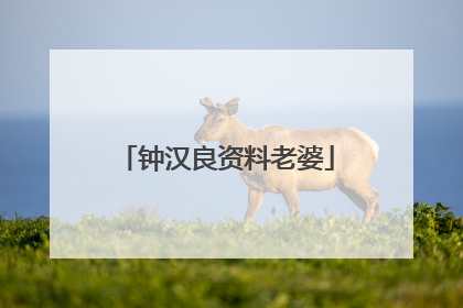 钟汉良资料老婆