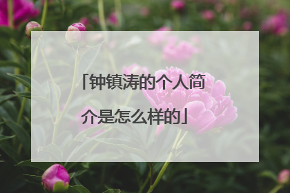 钟镇涛的个人简介是怎么样的