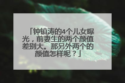 钟镇涛的4个儿女曝光,前妻生的两个颜值差别大。那另外两个的颜值怎样呢?