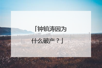 钟镇涛因为什么破产?
