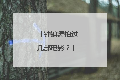 钟镇涛拍过几部电影?