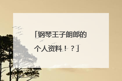 钢琴王子朗郎的个人资料！？