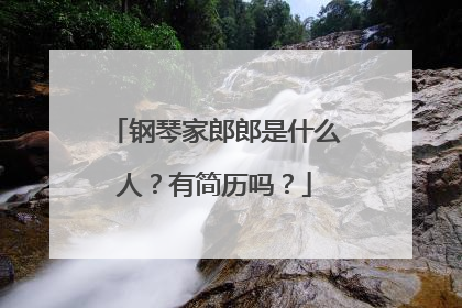 钢琴家郎郎是什么人?有简历吗?