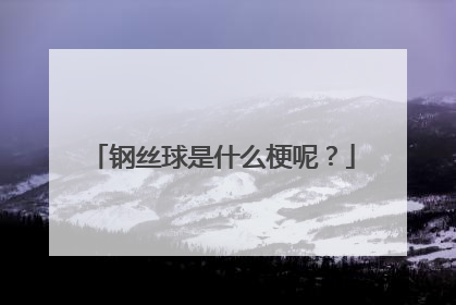 钢丝球是什么梗呢？