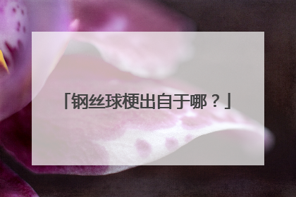 钢丝球梗出自于哪？