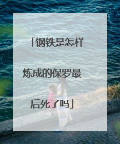 钢铁是怎样炼成的保罗最后死了吗