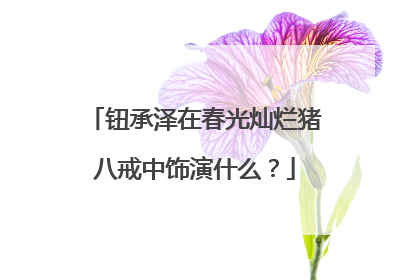 钮承泽在春光灿烂猪八戒中饰演什么？