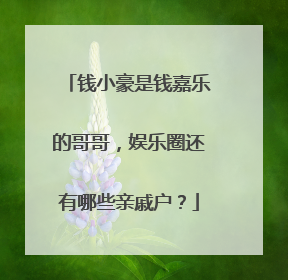 钱小豪是钱嘉乐的哥哥，娱乐圈还有哪些亲戚户？