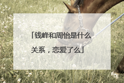 钱峰和周怡是什么关系,恋爱了么