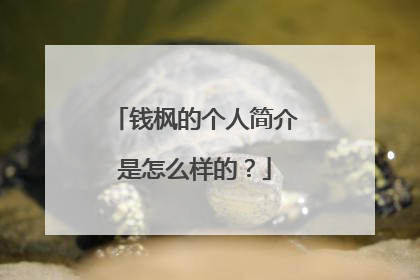钱枫的个人简介是怎么样的？