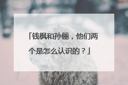 钱枫和孙俪,他们两个是怎么认识的?