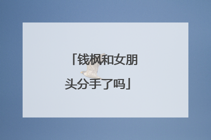 钱枫和女朋头分手了吗