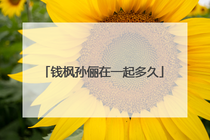 钱枫孙俪在一起多久