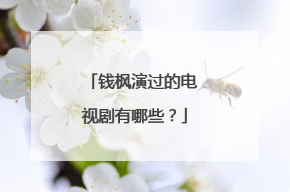 钱枫演过的电视剧有哪些？