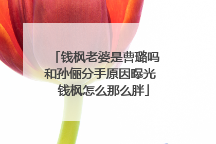 钱枫老婆是曹璐吗和孙俪分手原因曝光 钱枫怎么那么胖