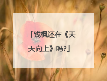 钱枫还在《天天向上》吗?
