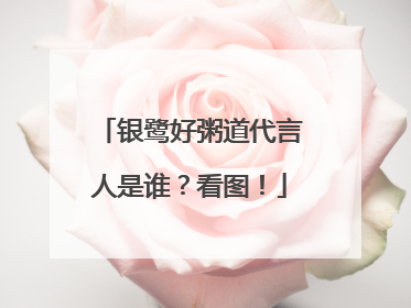 银鹭好粥道代言人是谁?看图!