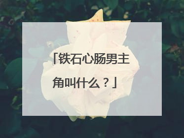 铁石心肠男主角叫什么？