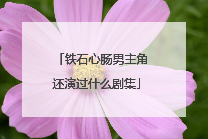 铁石心肠男主角还演过什么剧集