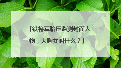 铁将军胎压监测封面人物，大胸女叫什么？