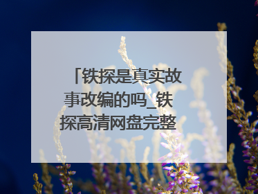 铁探是真实故事改编的吗_铁探高清网盘完整在线观看