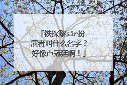 铁探黎sir扮演者叫什么名字？好像卢冠廷啊！