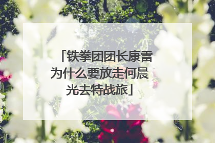 铁拳团团长康雷为什么要放走何晨光去特战旅