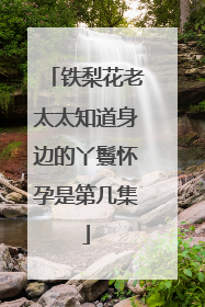 铁梨花老太太知道身边的丫鬟怀孕是第几集