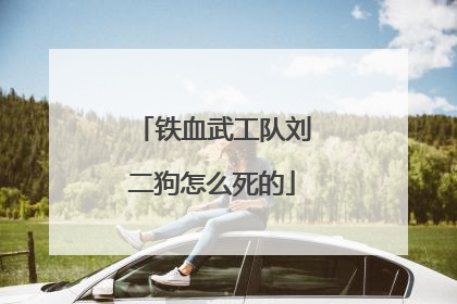 铁血武工队刘二狗怎么死的