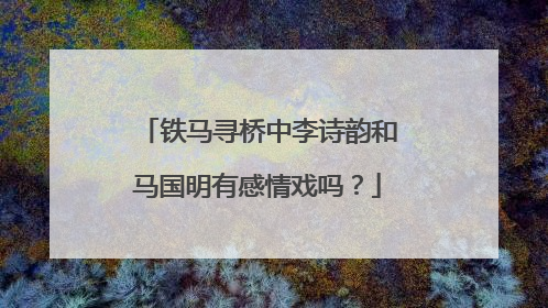 铁马寻桥中李诗韵和马国明有感情戏吗？