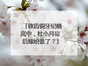 铁齿铜牙纪晓岚中,杜小月最后嫁给谁了?