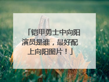 铠甲勇士中向阳演员是谁，最好配上向阳图片！