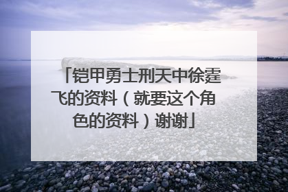 铠甲勇士刑天中徐霆飞的资料（就要这个角色的资料）谢谢
