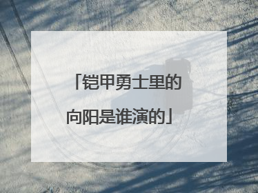 铠甲勇士里的向阳是谁演的