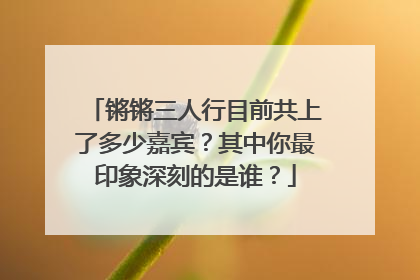 锵锵三人行目前共上了多少嘉宾？其中你最印象深刻的是谁？