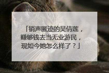 销声匿迹的吴倩莲,赚够钱去当无业游民,现如今她怎么样了?