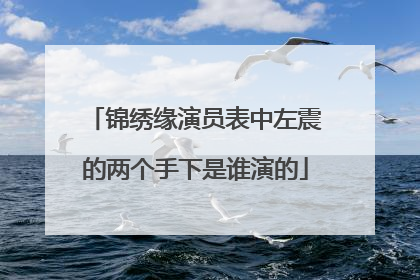 锦绣缘演员表中左震的两个手下是谁演的