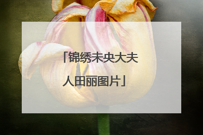 锦绣未央大夫人田丽图片