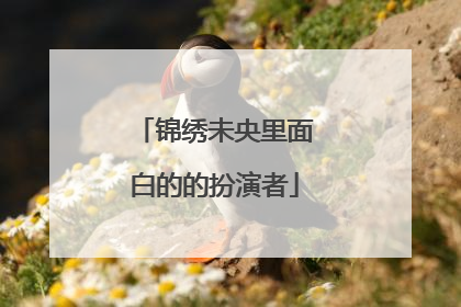 锦绣未央里面白的的扮演者