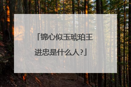 锦心似玉琥珀王进忠是什么人?