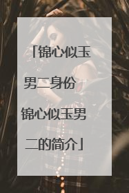 锦心似玉男二身份 锦心似玉男二的简介