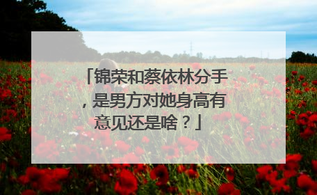 锦荣和蔡依林分手，是男方对她身高有意见还是啥？
