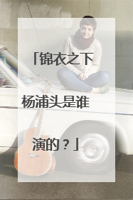 锦衣之下杨浦头是谁演的?