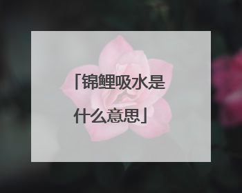 锦鲤吸水是什么意思