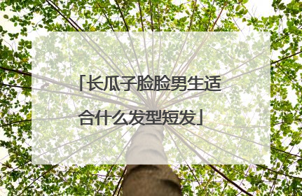 长瓜子脸脸男生适合什么发型短发